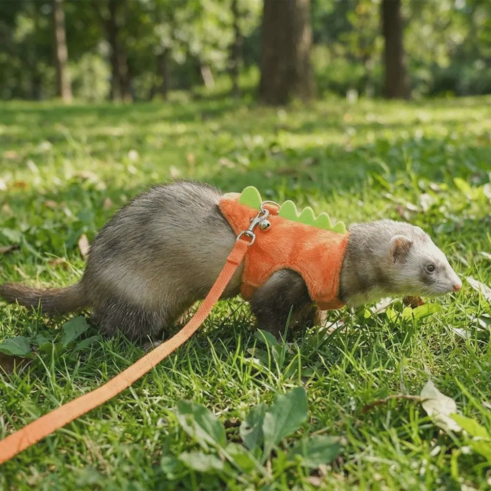Veilig en Comfortabel Dinosaurusharnas met Riem voor Fretten, Hamsters en Cavia's