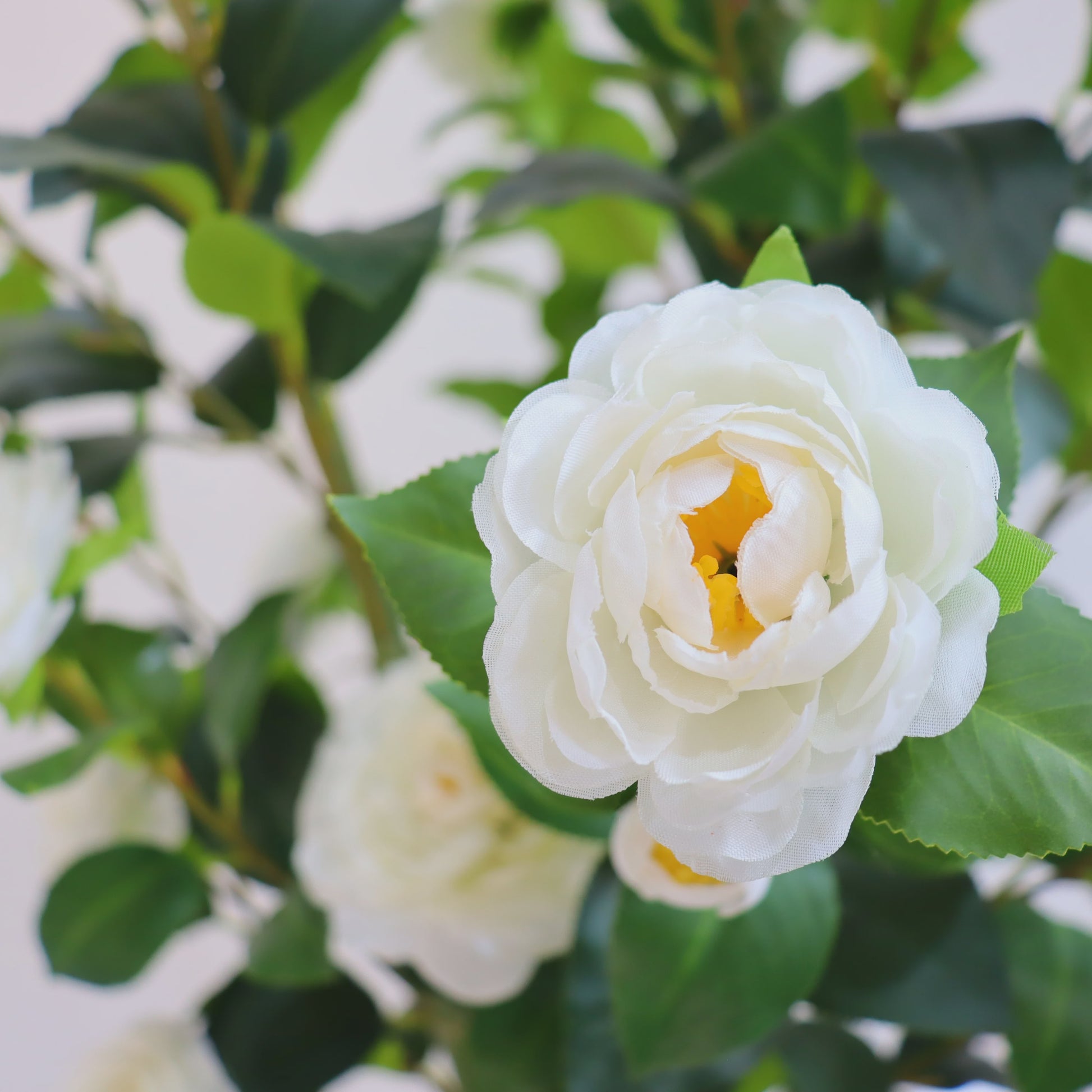 Set van 2 Kunst Camellia Bomen - Realistische Kunstplant met Bloemen en Pot - 180cm