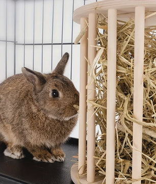Houten Hooibak met Deksel voor Konijnen en Kleine Huisdieren