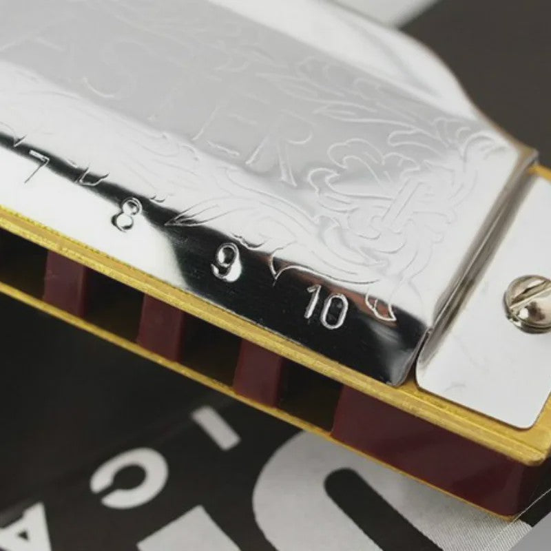 Professionele 10-Gats C-Toon Diatonische Mondharmonica - Zilverkleurig, Inclusief Luxe Koffer