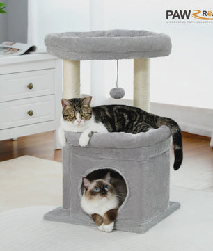 Kattenboom met Condo, Dubbele Perch en Krabpalen - Perfect voor Binnenkatten en Kittens
