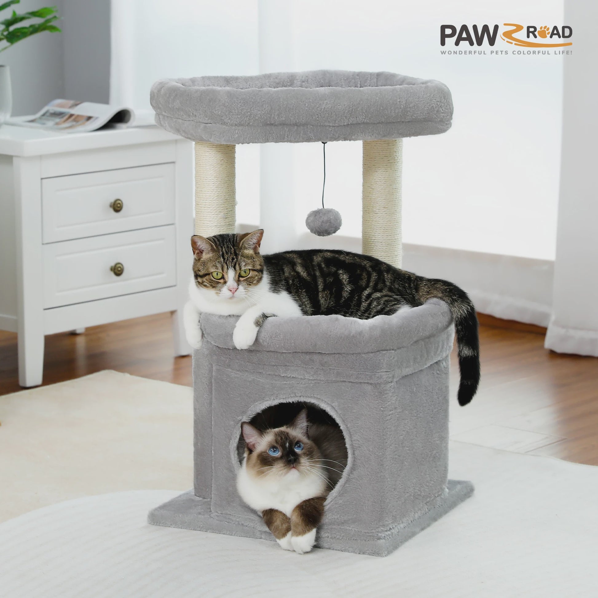 Kattenboom met Condo, Dubbele Perch en Krabpalen - Perfect voor Binnenkatten en Kittens