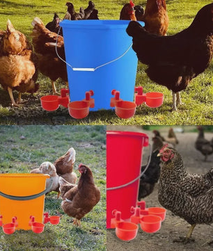 Set van 10 of 20 Automatische Kippen Drinkbakken - Pluimvee Waterdispenser
