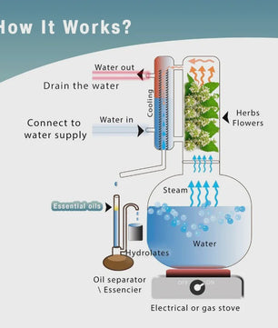 8L Koperen Distilleerapparaat voor Essentiële Olie & Hydrosol - Direct Verwarmbaar