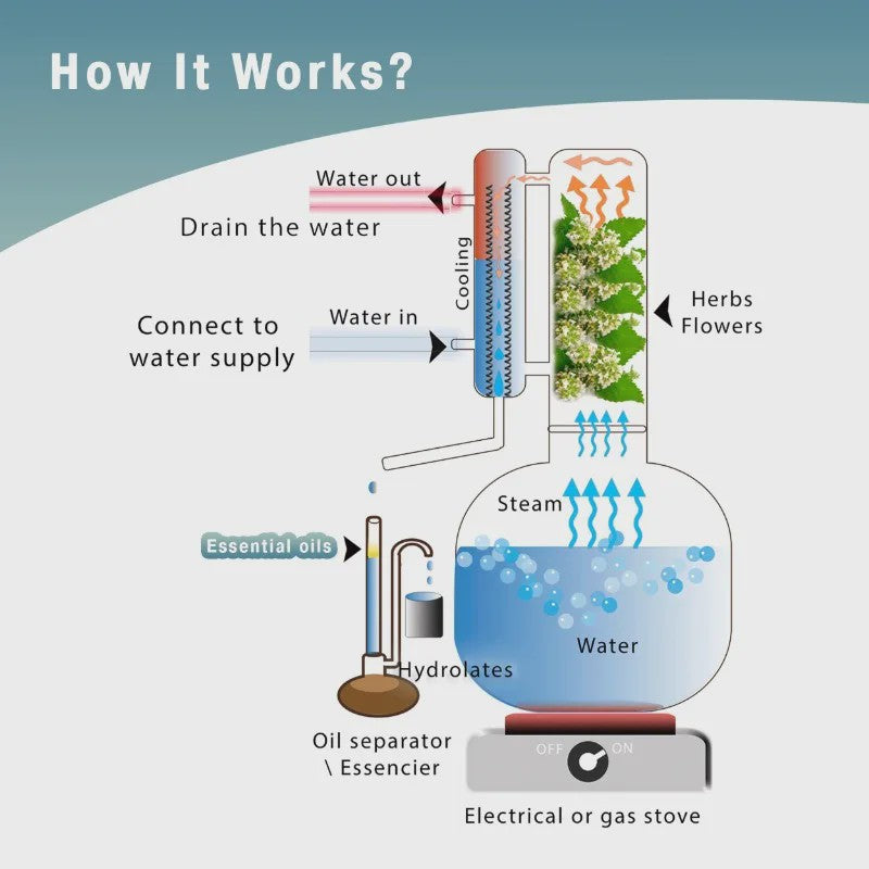 8L Koperen Distilleerapparaat voor Essentiële Olie & Hydrosol - Direct Verwarmbaar