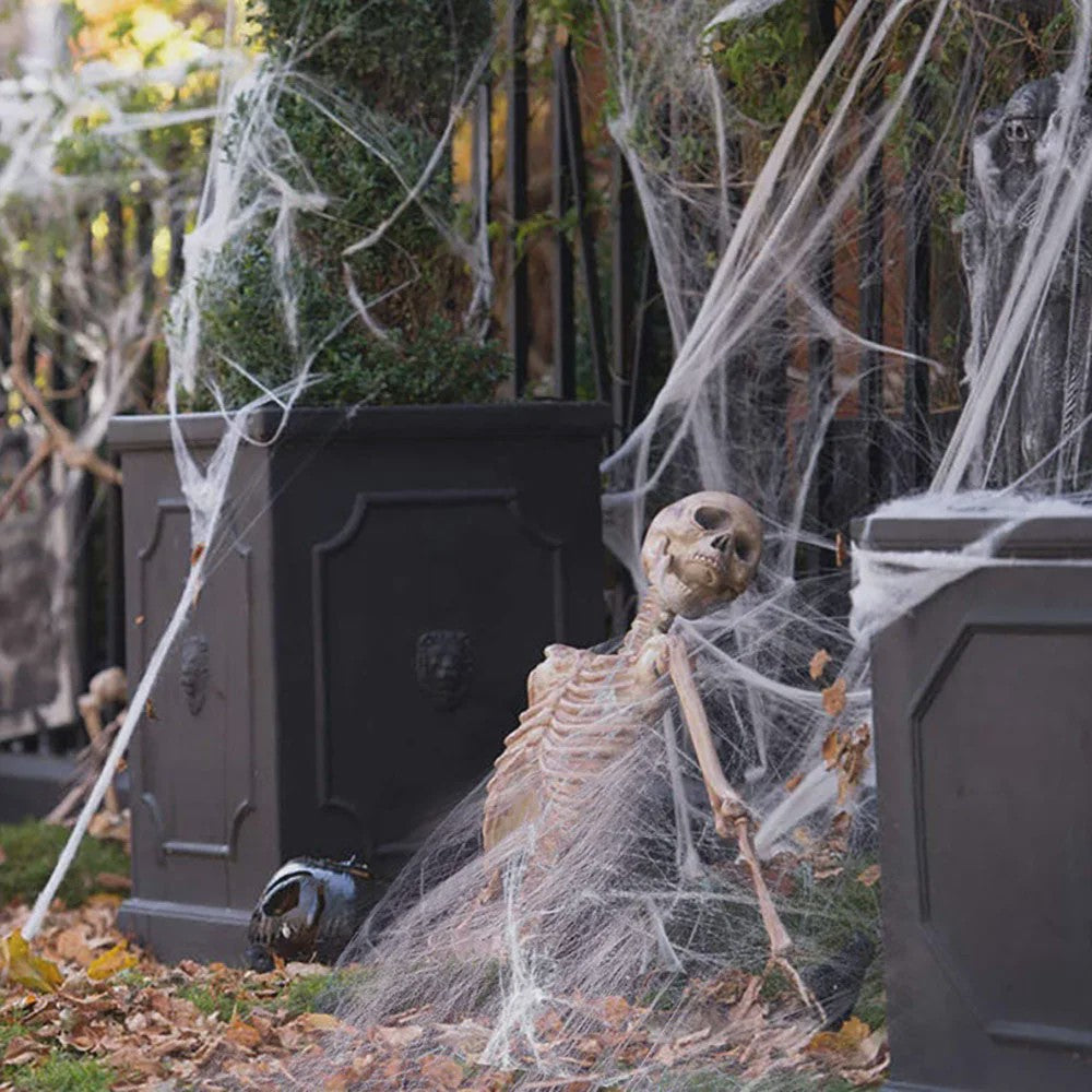 Halloween Spinnenweb Decoratie met Spinnen - Creëer een Griezelige Sfeer