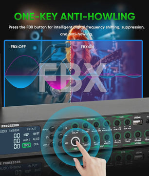 FULODE AX-666 Dubbel Draadloos Microfoon Systeem met Digitale Karaoke Processor