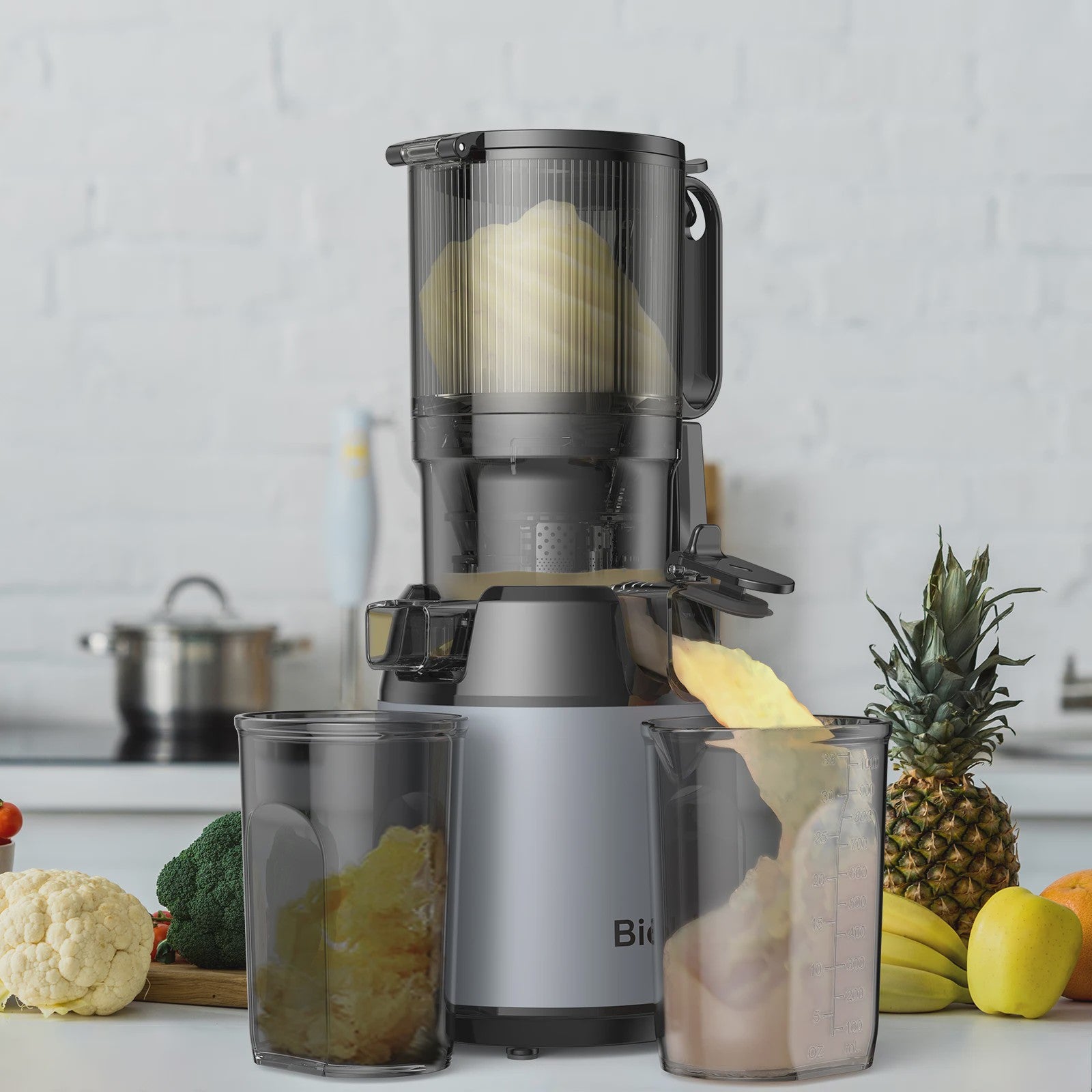 BioloMix Slow Juicer Cold Press met 130mm invoertrechter - Hoge sapopbrengst, BPA-vrij