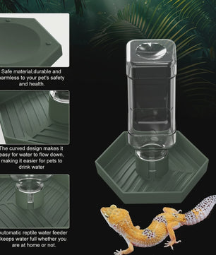 Automatische Reptielen Voerbak en Waterdispenser voor Kleine Hagedissen, Kikkers, Slangen en Schildpadden