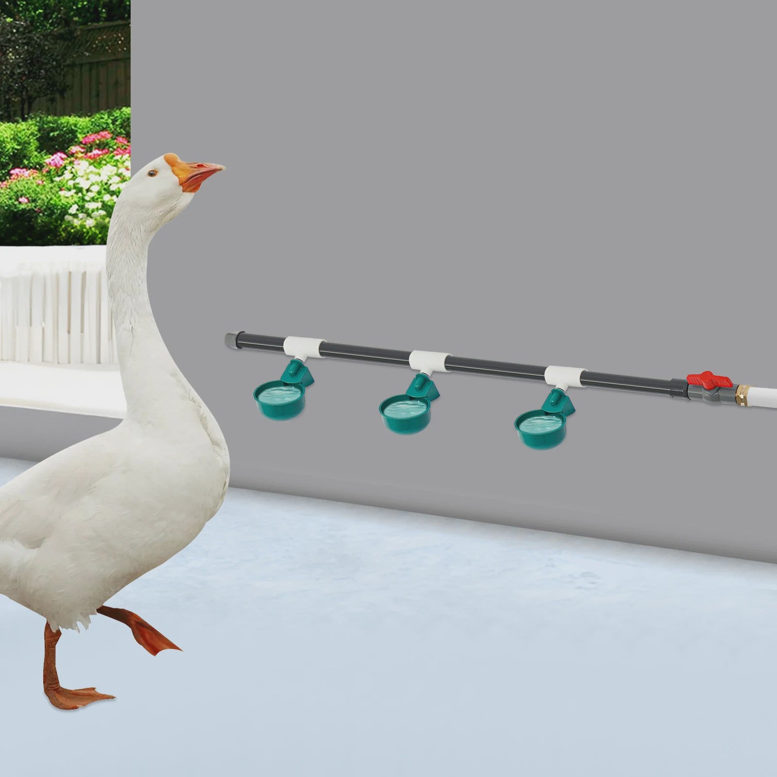 Automatische Drinkbak Set voor Kippen, Vogels, Kwartels & Duiven - PVC & RVS
