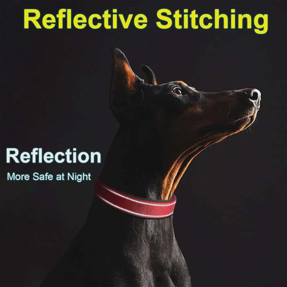 Veilige Hondenhalsband met Reflecterende Strepen - Ontsnappingsbestendig Nylon, Zachte Vulling & Snel-Sluiting