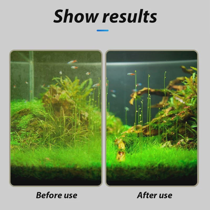 Aquarium Reinigingsset: Algenkrabber, Spons & Borstel voor Glas