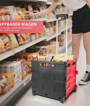 Opvouwbare Boodschappentrolley met Deksel en Telescoopsteel - Handig voor Boodschappen, Tuin & Camping
