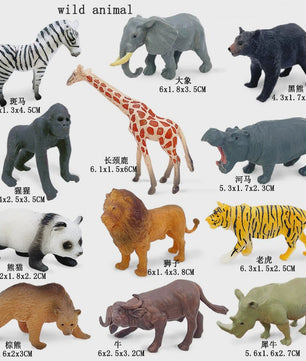 Set van 12 Realistische Wild Animal Dierenfiguren - Speelgoed & Cadeau voor Kinderen