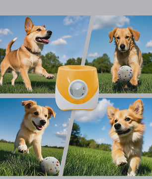 Automatische Hondenspeeltjes Bal Werper met 3 Tennisballen - USB Oplaadbaar
