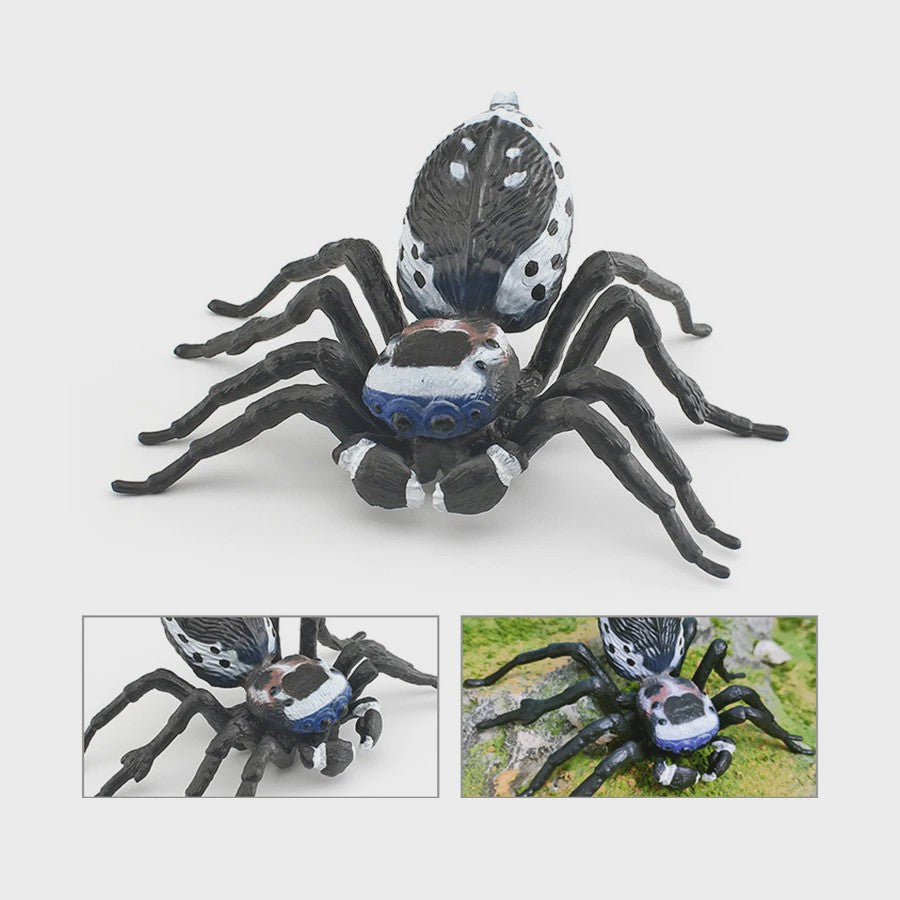 Realistische Insecten & Slakken Modellen - Educatief Speelgoed, Verzamelen & Decoratie