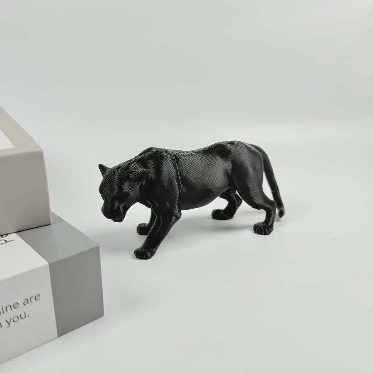 Set van 5 Unieke 3D Geprinte Zwarte Beeldjes: Weerwolf, Paard, Kat, Griffioen & Vleermuis