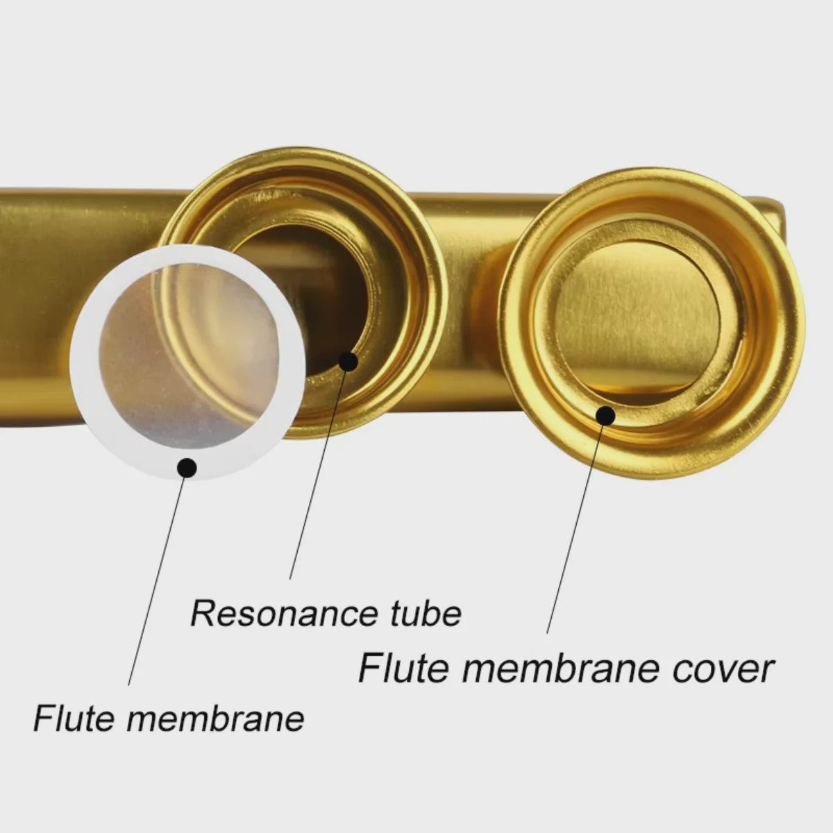 Miwayer Kazoo Set: 7 Kleuren Muziek Kazoo met Extra Membranen - Leer Snel Muziek Maken