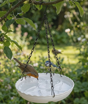 Hangende Vogelvoeder en Badstation - Alles-in-één Voeder- en Badplaats voor Tuin & Balkon