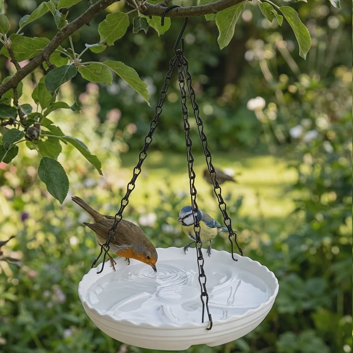 Hangende Vogelvoeder en Badstation - Alles-in-één Voeder- en Badplaats voor Tuin & Balkon