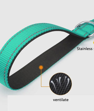 Veilige Hondentuig & Lijn Set met Nachtreflectie - Padded Handvat