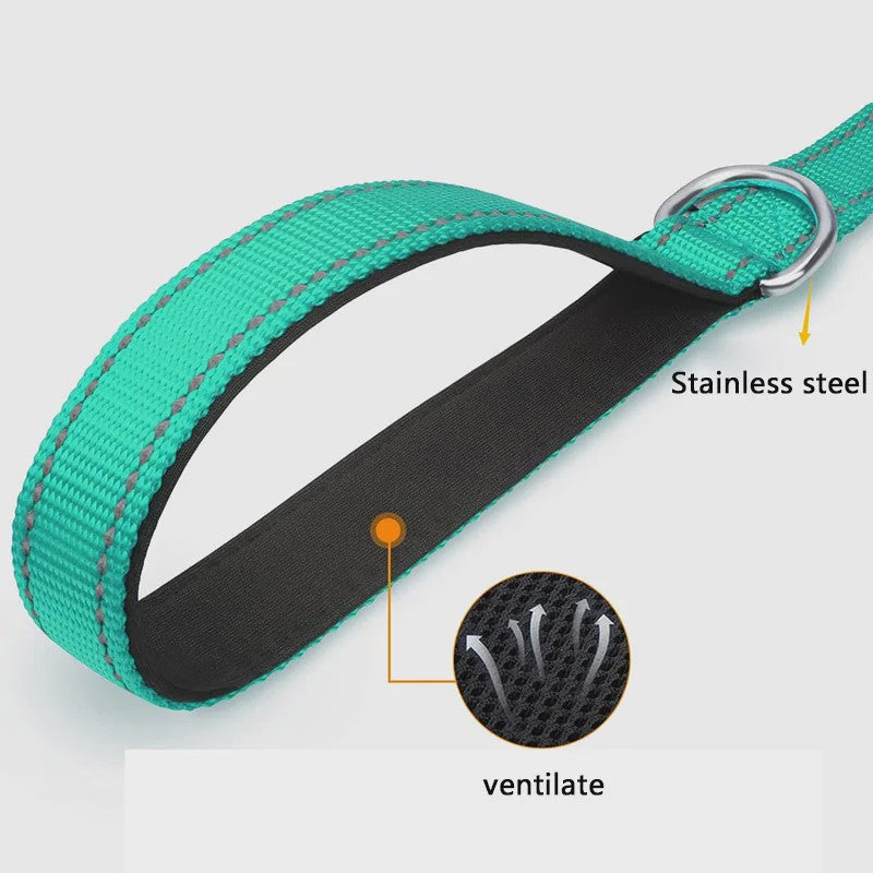 Veilige Hondentuig & Lijn Set met Nachtreflectie - Padded Handvat