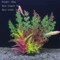 Kunstplanten Aquarium Set - Levendige Decoratie voor Vissenkom en Waterplanten