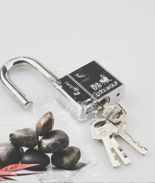 RVS Hangslot - Anti-diefstal, Anti-pick, Waterdicht & Roestvrij voor Huis, Kluisjes & Slaapzalen