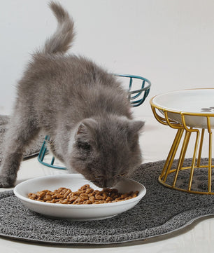 Keramische Verhoogde Voerbak & Waterbak op Standaard voor Katten en Honden