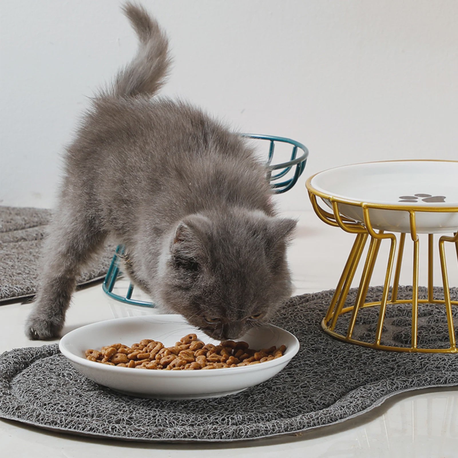 Keramische Verhoogde Voerbak & Waterbak op Standaard voor Katten en Honden