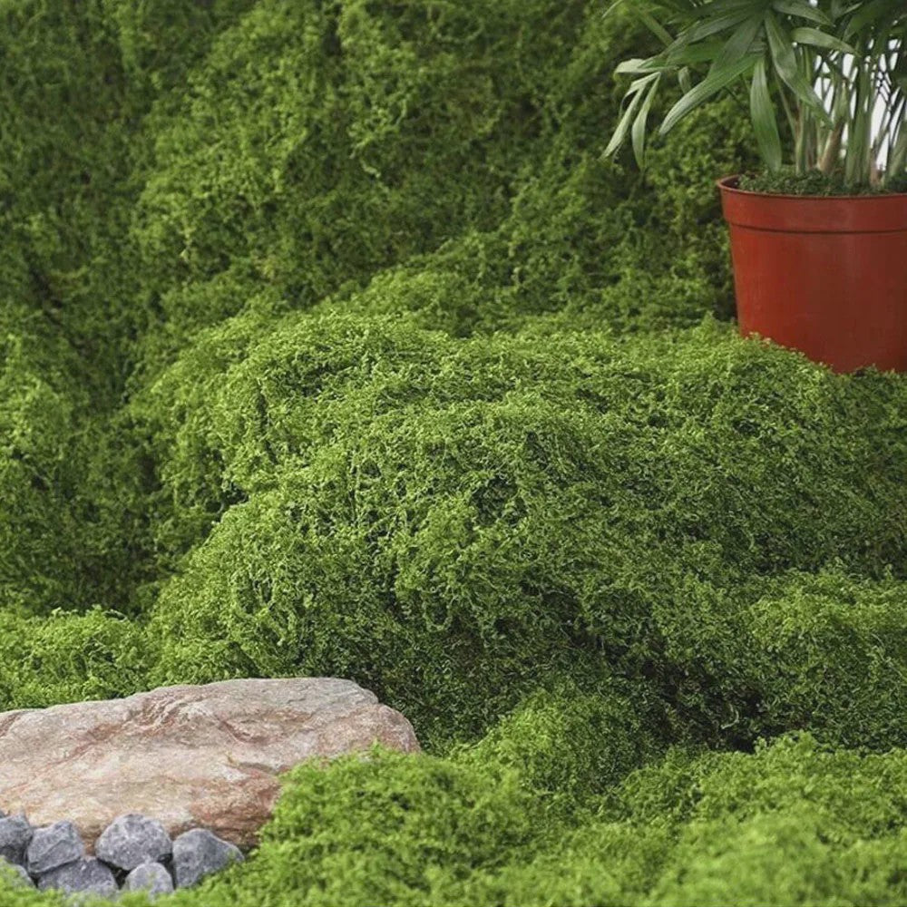 Kunstmos 1m x 1m - Realistisch Nep Mos voor DIY Projecten, Tuin en Interieur Decoratie