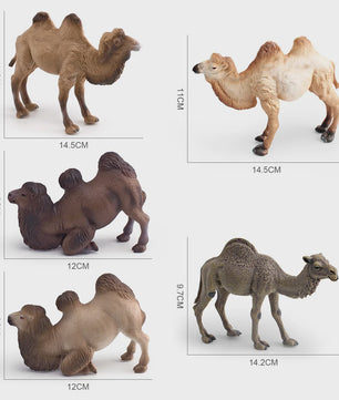 Realistische Dromedaris & Baktriaanse Kameel Figuren - Desktop Ornament