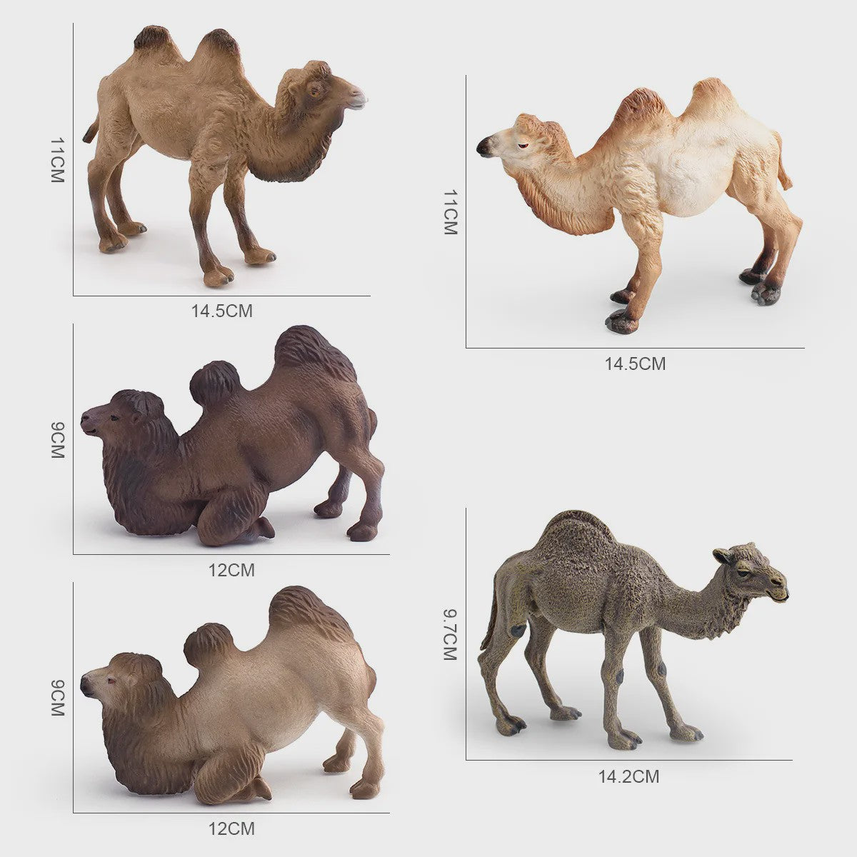 Realistische Dromedaris & Baktriaanse Kameel Figuren - Desktop Ornament
