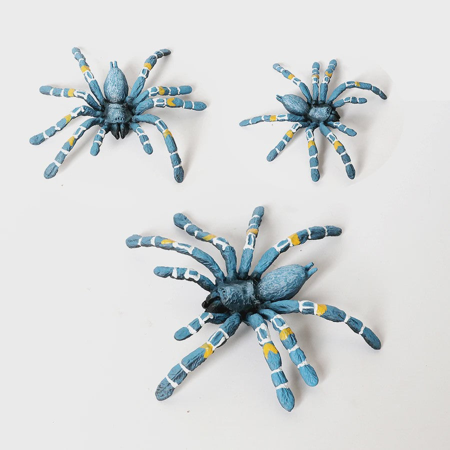 Realistische Insecten & Slakken Modellen - Educatief Speelgoed, Verzamelen & Decoratie