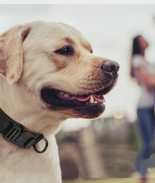 Tactische Hondenhalsband - Verstelbaar Militair Nylon Halsband met Handvat & Metalen Gesp