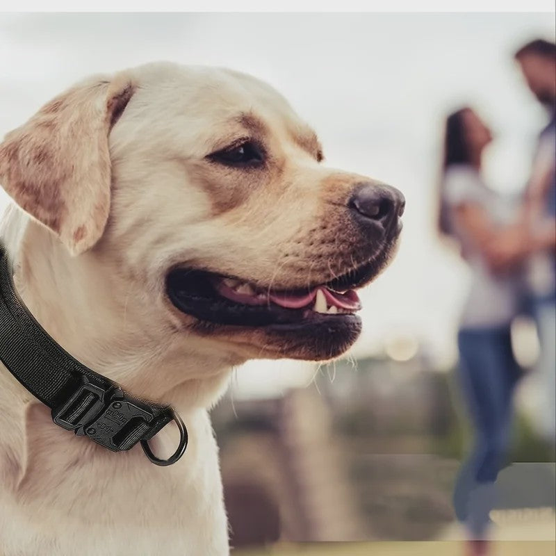 Tactische Hondenhalsband - Verstelbaar Militair Nylon Halsband met Handvat & Metalen Gesp