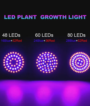 Full Spectrum LED Groeilamp E27 80 LEDs - Plantenlamp voor Binnenkweek