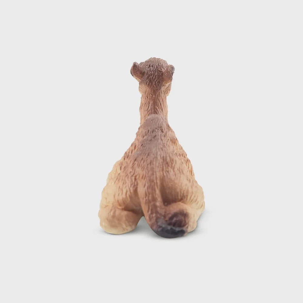 Toymany Camel Kalf Miniatuur Dier Model - Realistische Speelgoedfiguur voor Kinderen & Taartdecoratie