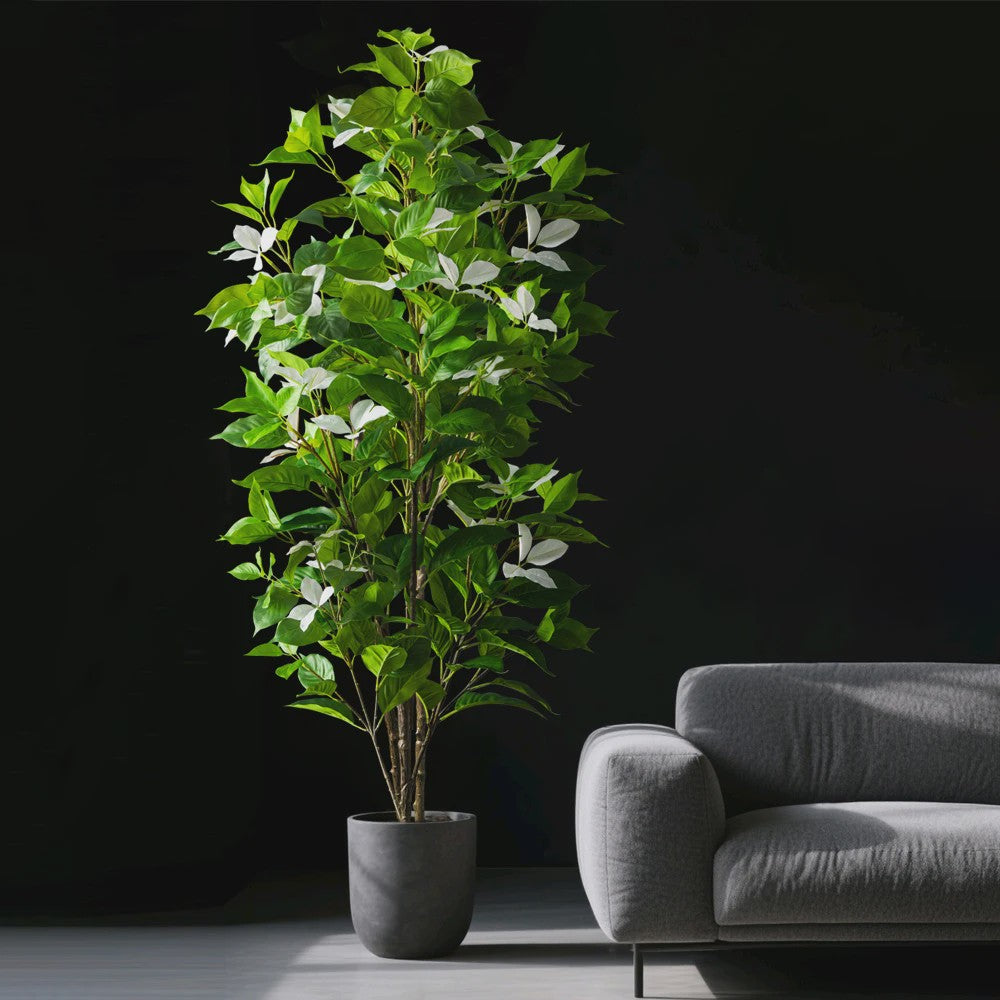 Grote Kunstboom Ficus Magnolia Banyan Nandina - 82-144cm