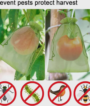 Beschermnetten voor Fruit en Planten - Tegen Vogels, Insecten en Schade (10-200 Stuks)