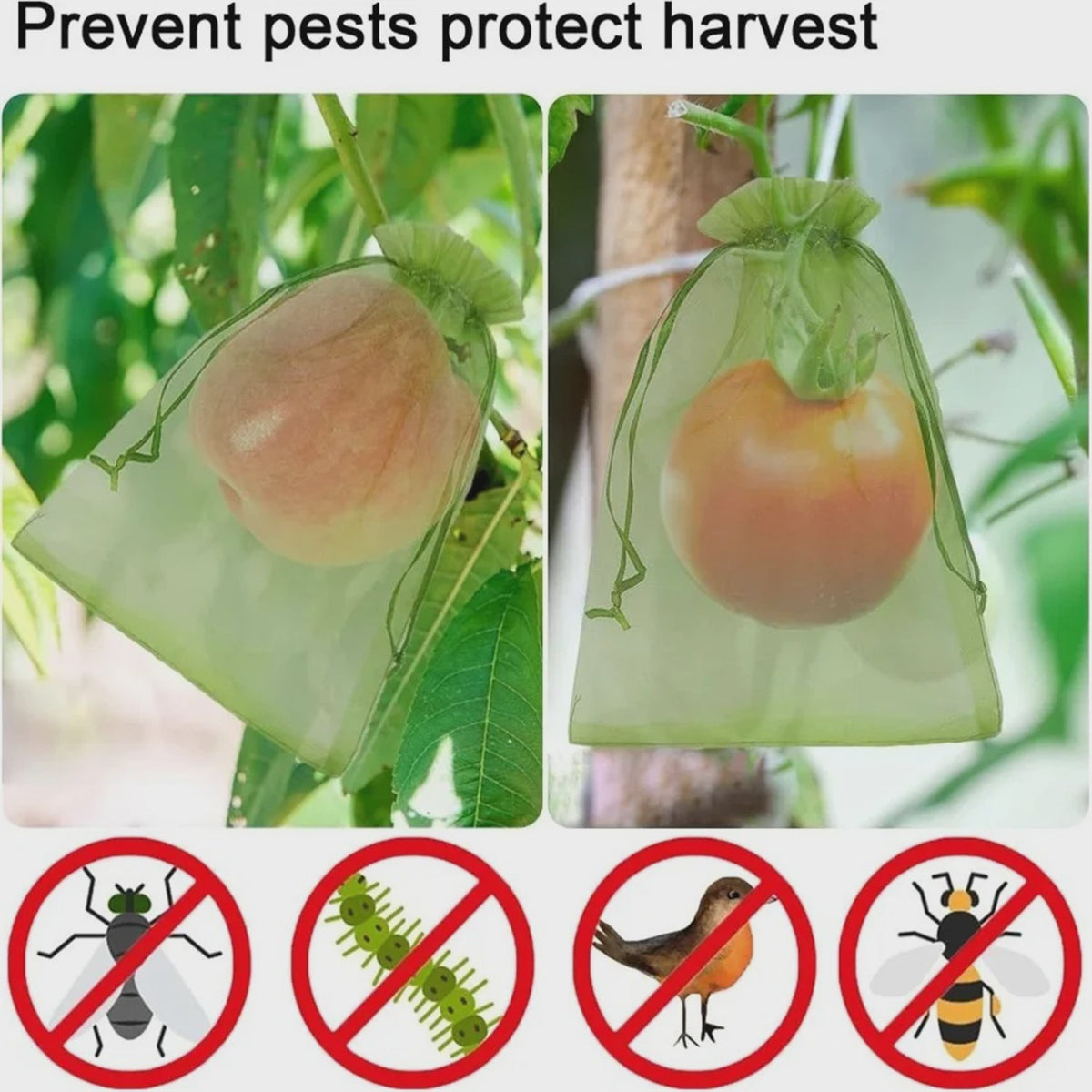 Beschermnetten voor Fruit en Planten - Tegen Vogels, Insecten en Schade (10-200 Stuks)