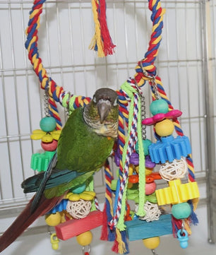 Kleurrijk Vogel Speelgoed - Houten Papegaai Accessoires & Schommelringen