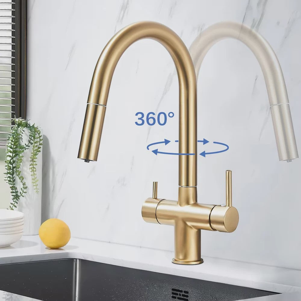 Keukenmengkraan met Uittrekbare Douchekop en Waterfilter - Goudkleurig