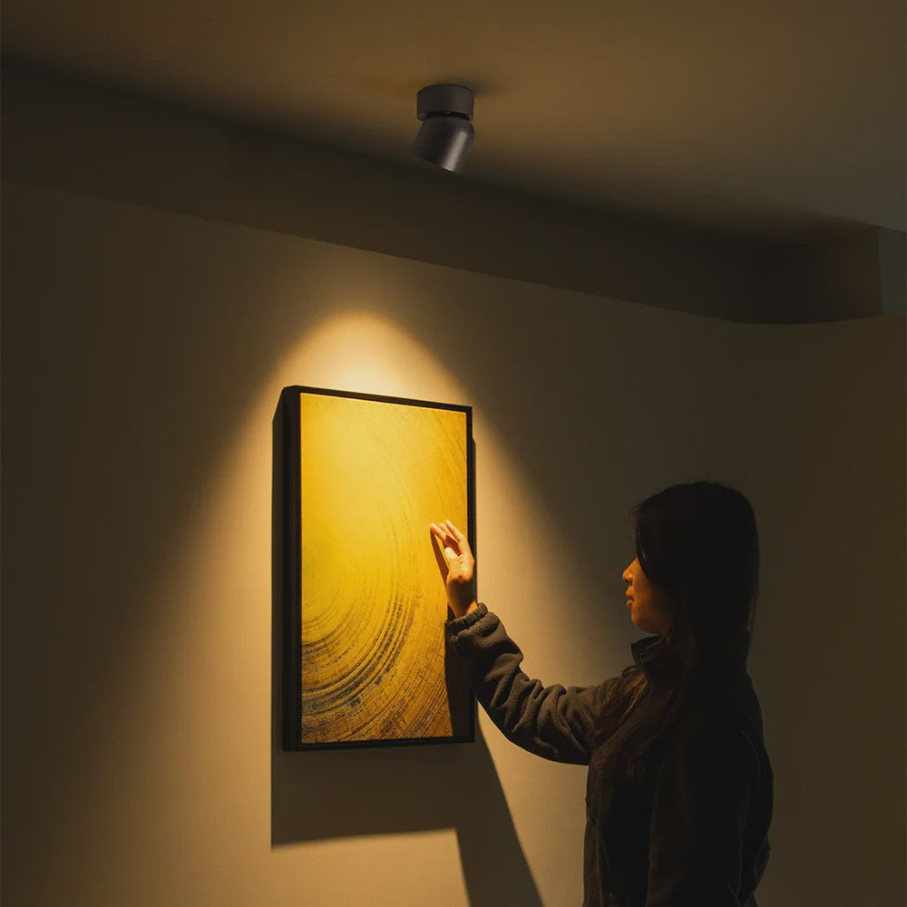 Aisilan LED Plafondspot Draaibaar & Kantelbaar - Oppervlakte Montage - 220V/110V