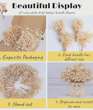 Gedroogde Mini Gipsenkruid Bloemen (100 stuks) - DIY Decoratie & Cadeau