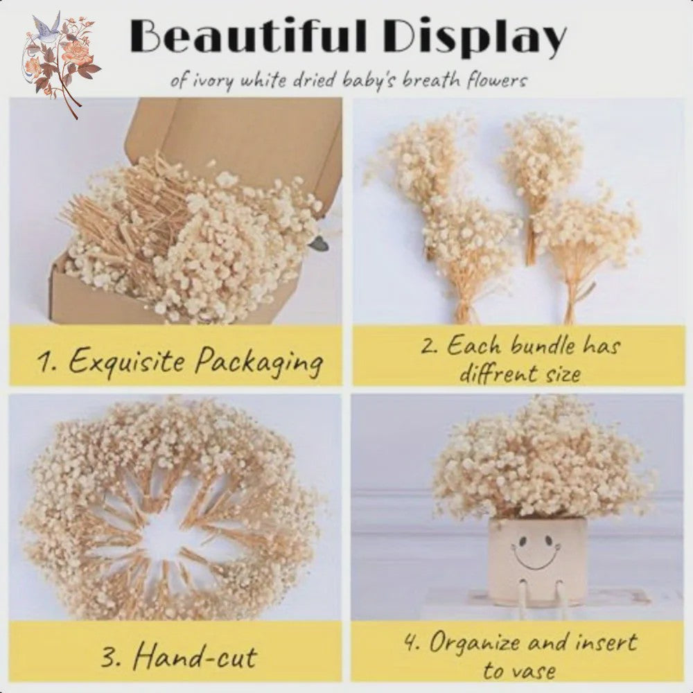 Gedroogde Mini Gipsenkruid Bloemen (100 stuks) - DIY Decoratie & Cadeau