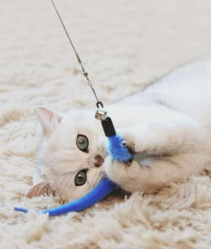 11-delige Katten Speelgoed Set met Veren en Intrekbare Hengel - Interactief Plezier voor Jouw Kat
