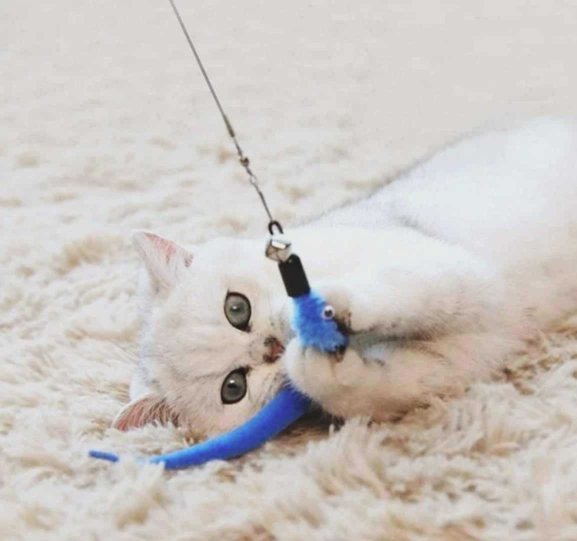 11-delige Katten Speelgoed Set met Veren en Intrekbare Hengel - Interactief Plezier voor Jouw Kat