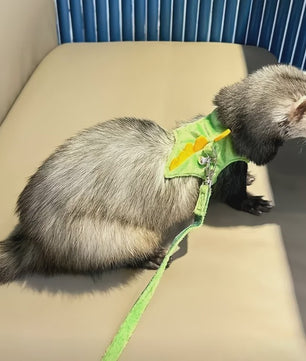 Schattig Dinosaurus Harnas met Riem en Bel voor Fretten, Muizen en Kleine Huisdieren