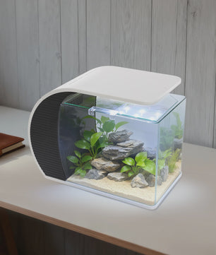 Moderne Glazen Aquarium Set met LED Verlichting en Filterpomp - 19L
